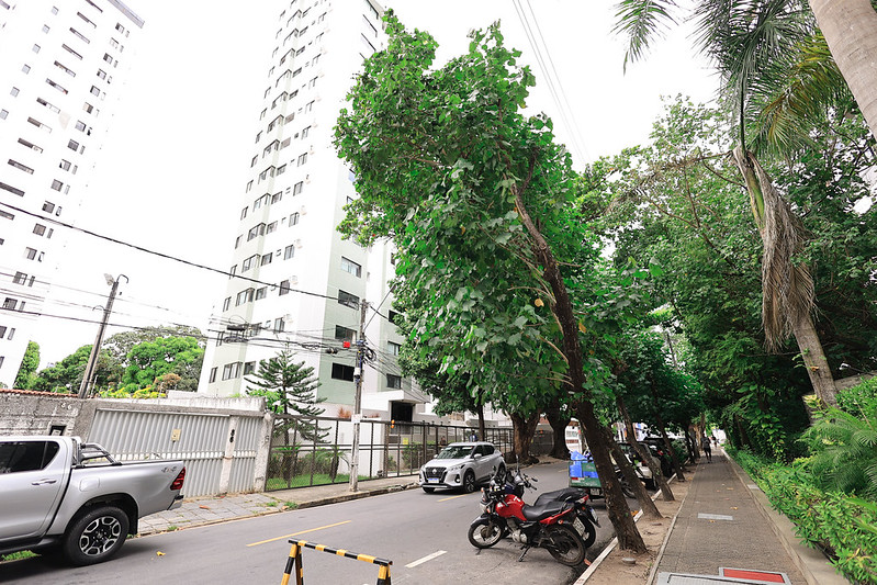 A imagem mostra uma rua urbana arborizada, com edifícios altos e brancos ao fundo. À esquerda, há carros e motos estacionados, enquanto à direita se estende uma calçada larga e bem cuidada, ladeada por árvores de copas densas e palmeiras. Os galhos se inclinam sobre a via, formando uma espécie de túnel verde, porém não há galhos acima da calçada. O céu está claro, e a cena transmite uma sensação de tranquilidade e integração entre natureza e cidade.
