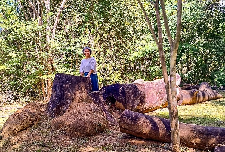 A foto mostra Isabelle Meunier em um ambiente natural, cercada por árvores e vegetação verde. Ela está de pé ao lado de um grande tronco cortado, que revela o tamanho impressionante da árvore que antes ocupava o espaço. A luz do sol atravessa as folhas, criando um clima tranquilo e acolhedor.