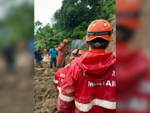 Na foto, vemos um grupo de bombeiros militares vestidos com uniformes vermelhos e capacetes laranja, trabalhando em uma encosta coberta de lama. Eles parecem estar em uma operação de resgate após um deslizamento de terra, em meio a uma área tropical com vegetação densa e palmeiras ao fundo. A cena transmite esforço coletivo e coragem diante de condições difíceis.