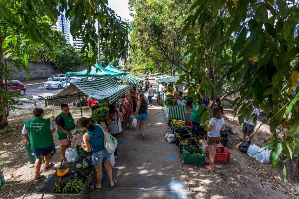 A imagem mostra uma feira de rua em área arborizada, com barracas verdes e brancas dispostas ao longo de uma calçada. Há vendedores e visitantes conversando e comprando frutas e verduras frescas. O ambiente é movimentado e ensolarado, com árvores oferecendo sombra e carros passando na rua ao fundo.