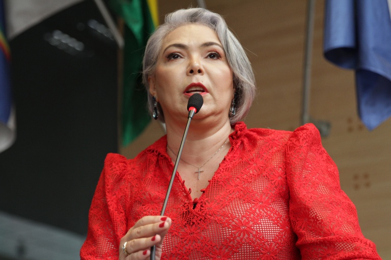 A imagem mostra Liana Cirne, mulher de pele clara e cabelos curtos grisalhos, falando ao microfone em um ambiente formal, provavelmente uma sessão plenária ou reunião institucional