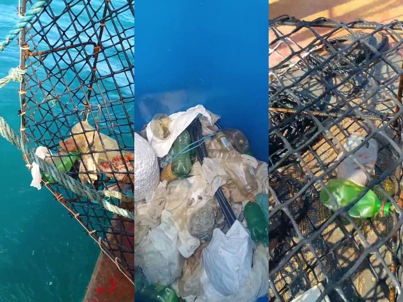 A imagem mostra três cenas de uma coleta de lixo marinho feita com armadilhas de pesca de lagosta: garrafas plásticas, sacos e outros resíduos aparecem presos nas grades metálicas e acumulados dentro de um recipiente azul, contrastando com o azul intenso da água ao fundo. O conjunto evidencia o impacto da poluição plástica nos oceanos e o esforço humano para removê-la, revelando como materiais descartados indevidamente acabam misturando-se às ferramentas de pesca e ao ambiente marinho.