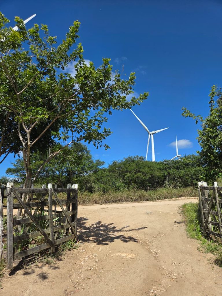 A imagem mostra uma estrada de terra que atravessa uma porteira de madeira simples, cercada por vegetação verde e árvores de médio porte. O céu está intensamente azul, sem nuvens, e ao fundo erguem-se grandes turbinas eólicas, brancas e elegantes, destacando-se contra o horizonte. A cena transmite tranquilidade e um contraste marcante entre o ambiente rural e a presença da energia limpa, sugerindo falsamente a convivência entre natureza e tecnologia sustentável.