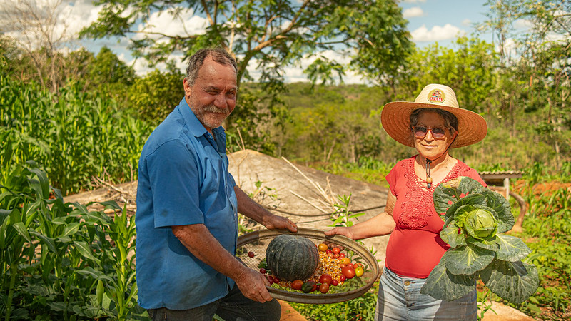 A imagem mostra um homem e uma mulher em um ambiente rural, cercados por vegetação verde e céu azul. O homem, de camisa azul, segura uma bandeja com uma abóbora e vários tomates pequenos, enquanto a mulher, de blusa vermelha e chapéu de palha, segura um grande repolho. Ambos sorriem, transmitindo orgulho pela colheita. O cenário sugere uma horta ou pequena propriedade agrícola, com plantas e árvores ao fundo, simbolizando o cultivo sustentável e o vínculo com a terra.