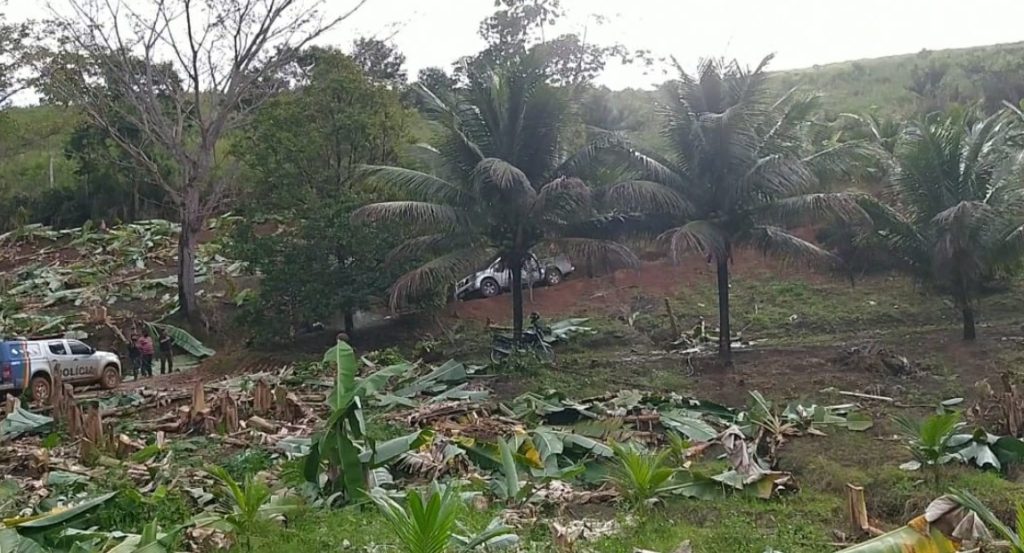 A imagem mostra uma área rural com vegetação tropical, onde há bananeiras cortadas e folhas espalhadas pelo chão, indicando uma plantação recentemente limpa ou danificada. No centro e à direita, há palmeiras altas e um terreno de terra vermelha. Entre as árvores, vê-se um carro prata parcialmente escondido e, mais à esquerda, uma caminhonete da polícia estacionada em uma estrada de terra, com duas pessoas próximas observando o local. Uma motocicleta está parada sob as palmeiras. O céu está nublado, e o ambiente transmite uma sensação de investigação ou inspeção em meio à natureza, com contraste entre o verde das plantas e o solo avermelhado.