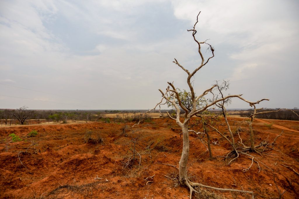 Paisagem de solo avermelhado e seco, marcada por sulcos e áreas de erosão, com uma árvore sem folhas em destaque no primeiro plano, de galhos retorcidos e expostos; ao fundo, há vegetação esparsa, terreno plano e horizonte amplo sob um céu claro com muitas nuvens, compondo um cenário árido que sugere degradação ambiental e escassez de água. Forneça seus comentários sobre o BizChat